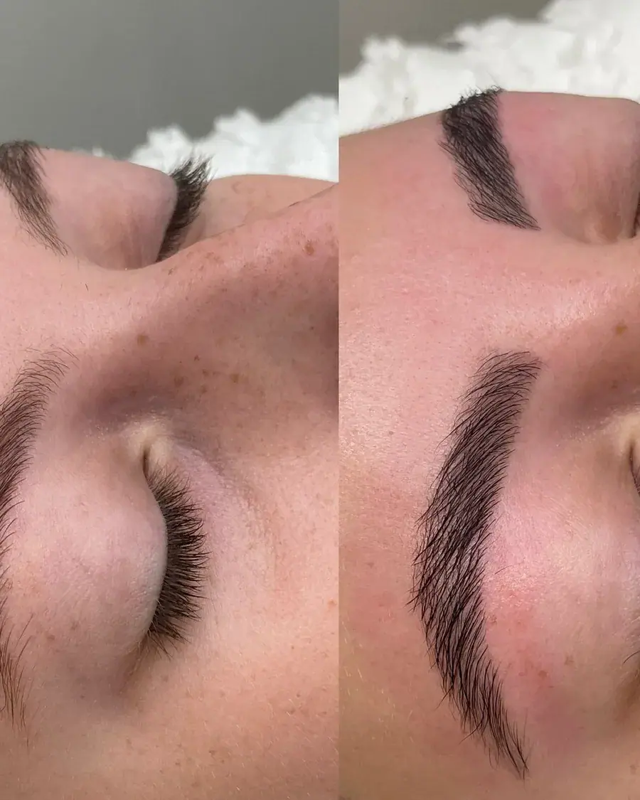 Brows brushed into a full, laminated shape
