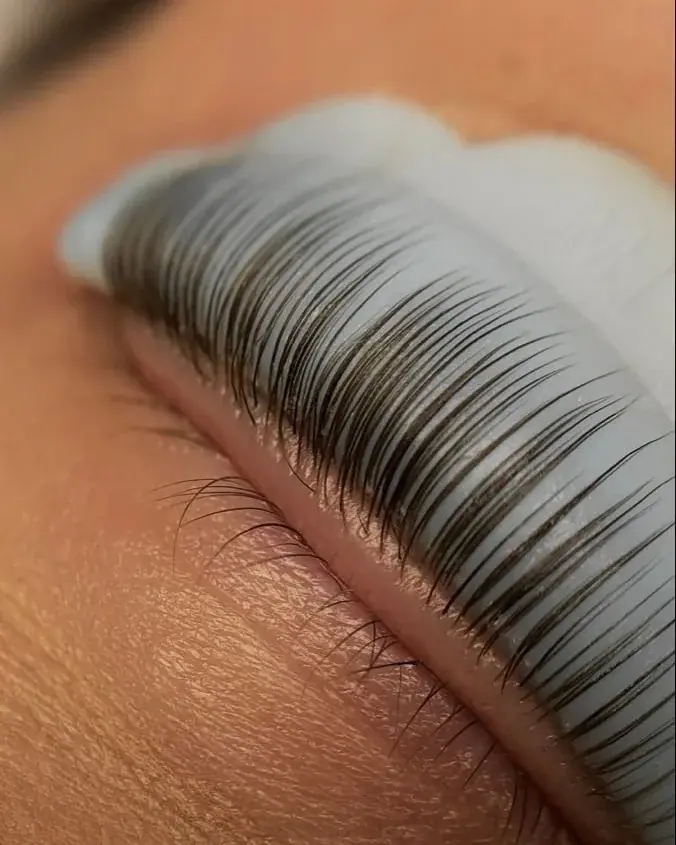 A lifted, tinted set of natural lashes in close-up