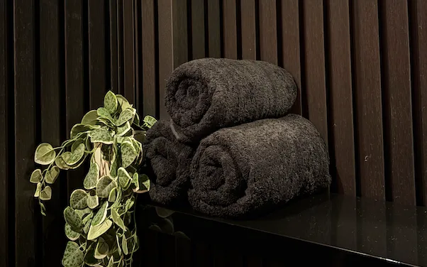 Rolled grey towels and a pot plant on a dark timber bench